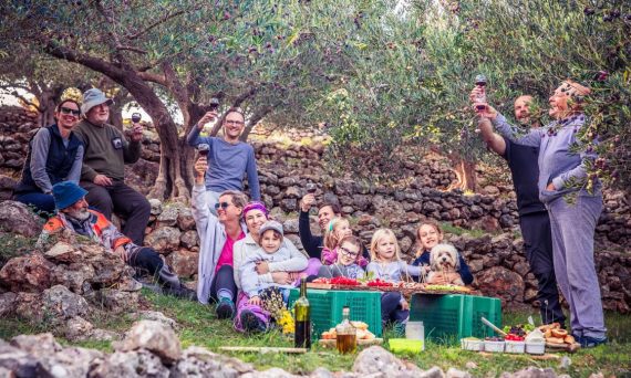 A joyful family gathering in an olive grove enjoying a picnic with wine toasts.